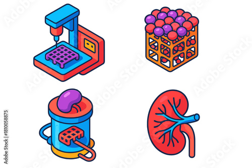 Lab-Grown Organ Stages. Isometric vector illustration set Lab-Grown Organ Stages: Printed scaffold frame, seeded cell structure,