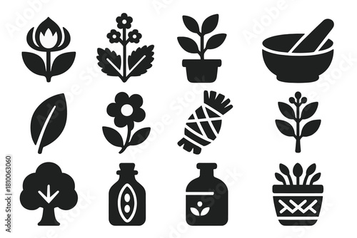 Cultural Botany Icons. Solid style icons of Cultural Botany: sacred plant, medicinal herb, cultural flora, mortar and pestle, leaf