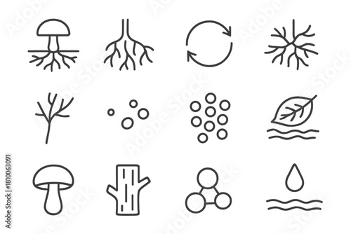 Symbiotic Fungi Icons. Line style icons of Symbiotic Fungi: Mycorrhizal Network, Plant Root, Nutrient Exchange, Underground Web;