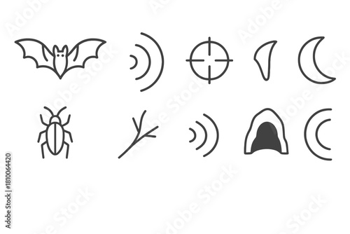Nocturnal Hunting Icons. Line style icons of Nocturnal Hunting: Bat, Echolocation Wave, Echo, Prey Detection; Wings, Fang, Cave,