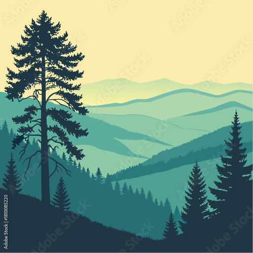 Pine tree on a hill overlooking a valley with mountains in the distance