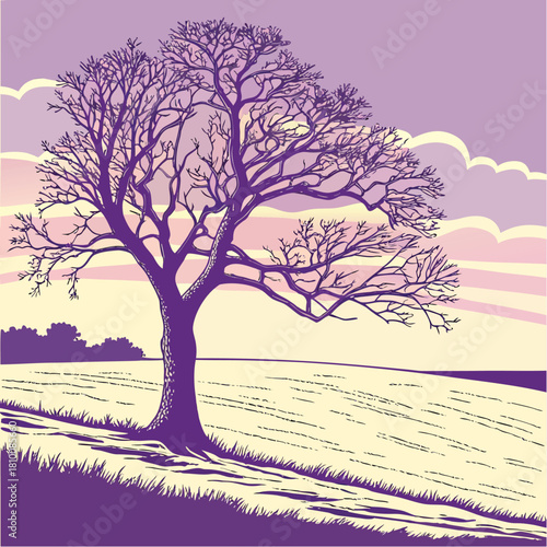 Bare tree on a hill in winter landscape with sky and clouds