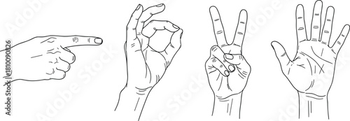 Set of hand gestures showing pointing finger, ok sign, peace victory sign, and open palm, black outline vector sketch.