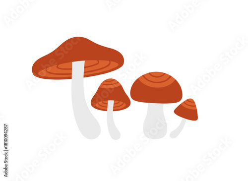 A colored hand‑drawn vector illustration on a white background depicts red‑capped scaber‑stalk mushrooms, both large and small, as raw, edible fungi that form a natural organic food composition
