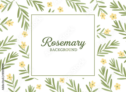 A rosemary frame, rendered with contour lines against a white background, features a natural border of fragrant wild blooming herb used as a spice, presented as a realistic botanical vector