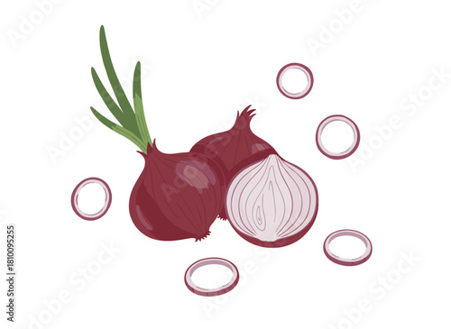 Stylish illustration of a sliced and whole red onion, a fresh organic ripe raw vegetable, hand‑drawn on a white background, rendered as a natural vector in vintage style