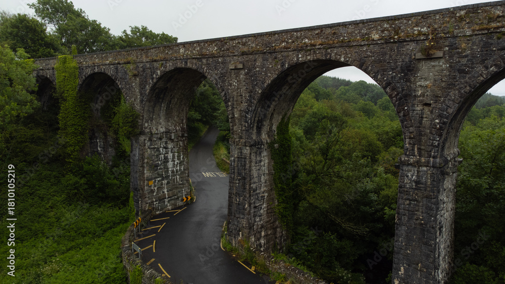 Fototapeta premium Viaduct in Ireland