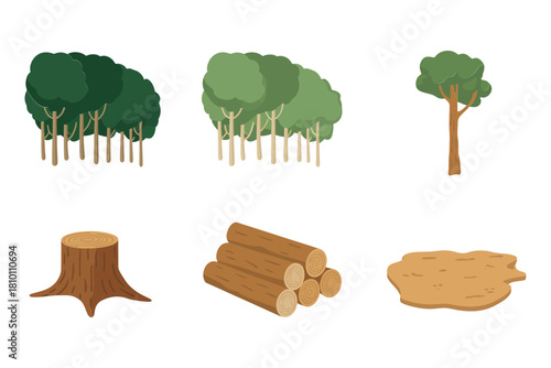Woodland trees assortment, dense groves to single trunks, stump cross section, timber log piles, ecosystem illustration, vector
