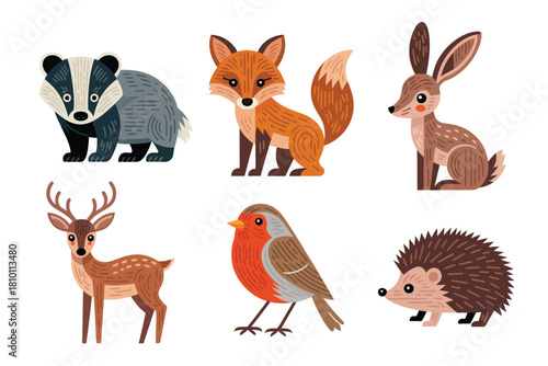 Forest creature collection, bold badger, bright fox, long eared hare, young deer, robin bird, hedgehog illustration set