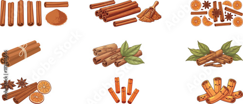 Cinnamon Sticks, Powder, and Spices Vector Illustrations Set