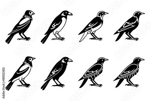 Set of 8 minimalist icons for common myna bird and related themes