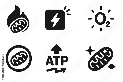 Mitohormesis Icons Collection. Solid style icons of mitohormesis: mitochondria flame glyph, energy cell stress icon, oxygen burst