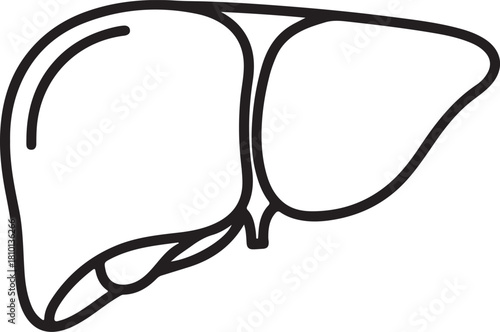 Detailed vector illustration of the human liver showcasing its anatomical structure and serving as a medical organ symbol