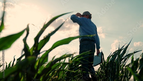 Obraz na płótnie Farmer man walk with laptop through corn sprouts field