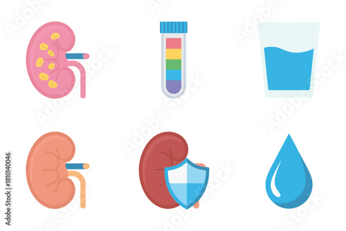 Kidney health icons, renal organ pair, urine test tube, glass of water, droplet, wellness hydration, medical care, vector