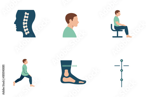 Ergonomics and posture set, spine alignment profile, seated desk pose, stretching lunge, ankle brace, measurement arrows, rehabilitation vector