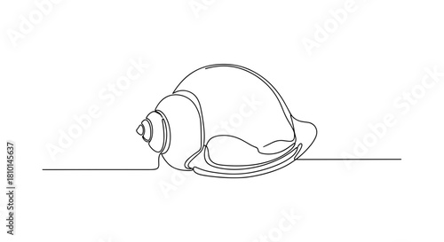 Line art illustration of a snail in minimalist style  