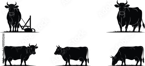 cow, silhouette, animal, livestock, farm, grazing, standing, profile, equipment, nature, black, rural, graphic, illustration, posture, behavior, agriculture, template, design, stylized