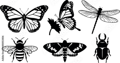 Black and white butterfly bee dragonfly and beetle vector illustration collection for nature and insect design