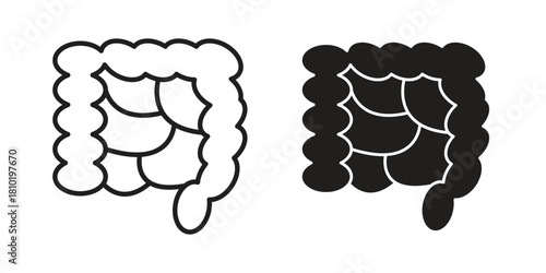 Gut icon illustration, thin line vector, web design sign,