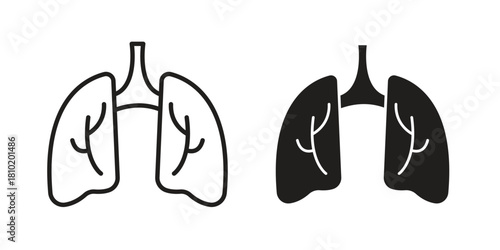Lung icon illustration, thin line vector, web design sign,