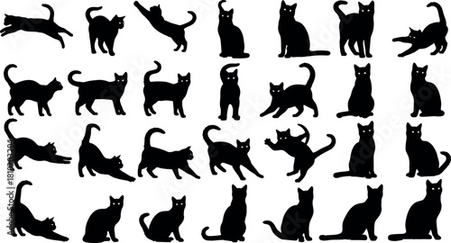 Collection of black cat silhouettes in various poses on white background