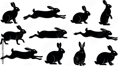 Collection of black rabbit silhouettes in various poses on white background