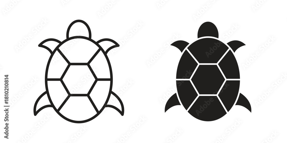 Obraz premium Turtle icon illustration, thin line vector, web design sign,