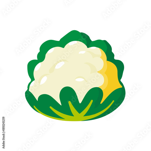 A_Simple_flat_2D_icon_of_a_cauliflower_isolated_on_a_white, simple illustration with EPS format design