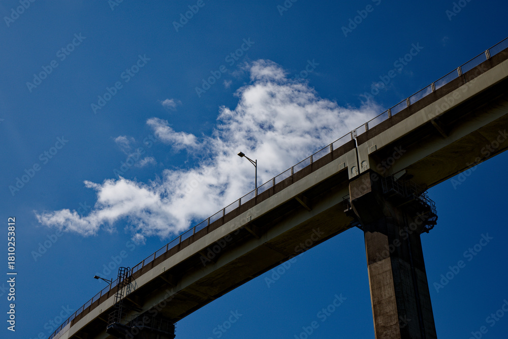 Fototapeta premium 白鳥大橋