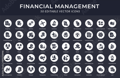 Financial Management Solid Glyph Icons Collection. Vector Illustration