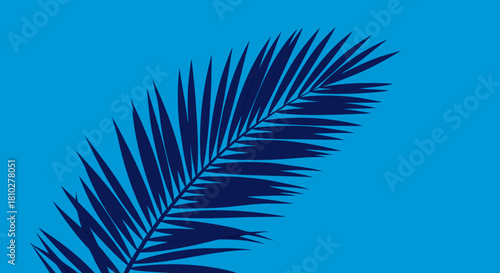 Sukkot holiday greeting card with palm on blue background, isolated, vector 