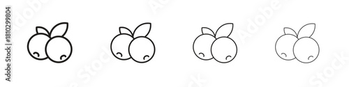 Blueberry icons collection web design, minimal line style