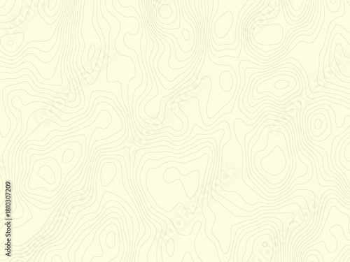 Abstract topographic contours map background .Topographic background and texture, monochrome image. Topography and geography map grid abstract backdrop. Business concept. Topography map concept.
