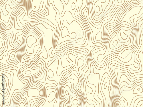 Abstract topographic contours map background .Topographic background and texture, monochrome image. Topography and geography map grid abstract backdrop. Business concept. Topography map concept.