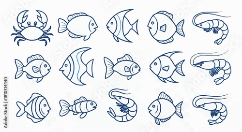 Outlined sea life illustration featuring various fish crab and shrimp species in a simple line drawing style