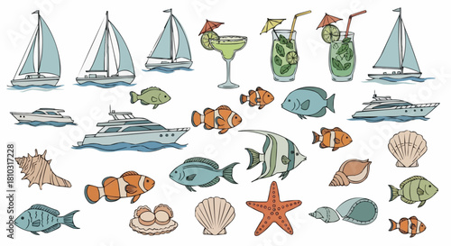 Illustration of sailboats, yachts, tropical drinks, various fish, and seashells on a white background