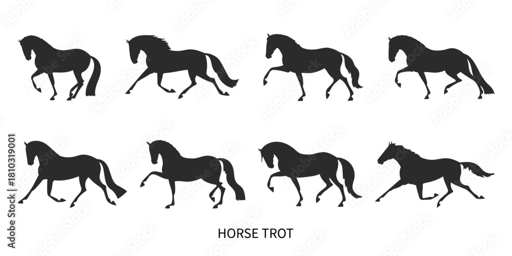 Fototapeta premium Silhouettes of a trotting horse in different phases of movement isolated on white background