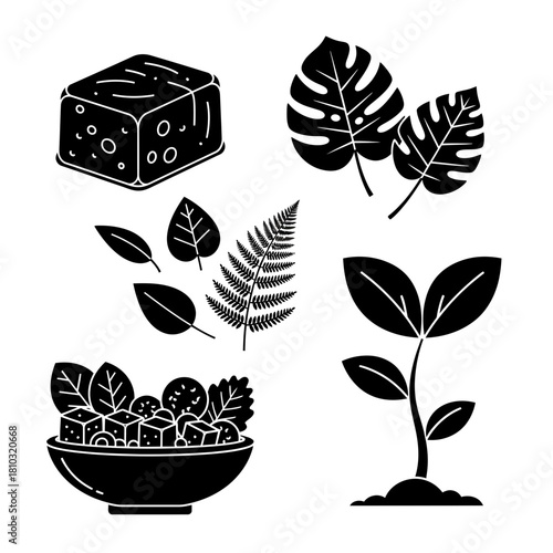 Fresh salad bowl, growing seedling, cheese block, and assorted leaves celebrating healthy eating and nature's bounty