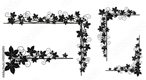 Elegant black vine leaf borders and corner elements bring organic beauty and sophisticated design to any project, perfect for invitations and decor.