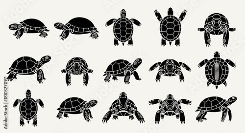 Charming collection of diverse turtle silhouettes showcasing unique patterns and playful poses perfect for your creative projects