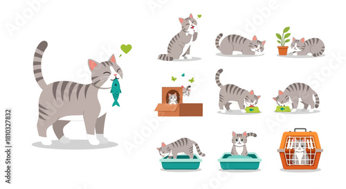 Charming Flat Design Vector Illustrations of a Grey Tabby Cat's Daily Adventures, Showcasing Various Playful and Domestic Scenes and Activities