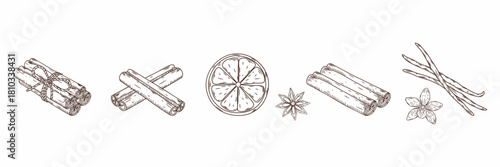 Hand-drawn sketch of various spices including cinnamon sticks, star anise, vanilla pods and flower, and an orange slice. Vector