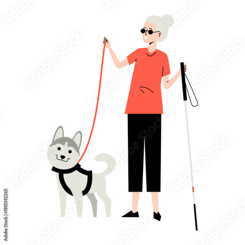 Blind woman with a dog. Blind woman with stick walks beside guide dog leads