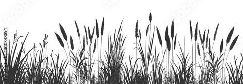 Silhouettes of cattails and reeds along a tranquil riverbank.