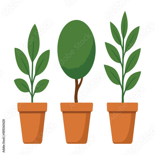 Three potted plants, isolated on white background, offer a touch of greenery and tranquility these charming botanical elements bring a sense of nature indoors, perfect for decoration