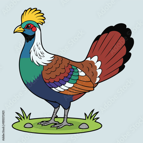 Cute Himalayan Monal (Lophophorus impejanus) bird standing on grass, colorful pheasant animal character in flat design style vector illustration