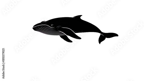 Ocean Giant: A striking silhouette of a majestic whale gracefully navigates the depths of the ocean. The image captures the powerful presence and the vastness of the sea. 