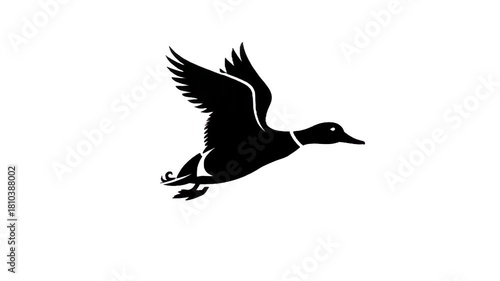 Silhouette Duck in Flight: A sleek, black silhouette of a duck in mid-flight, wings outstretched, soaring gracefully against the light, evoking a sense of freedom and natural beauty.