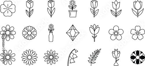 Collection of vintage botanical illustrations and floral elements in black and white